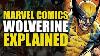 Marvel Wolverine Origins #1 Variant Signed by Stan Lee & Turner CGC 9.8 SS Rare